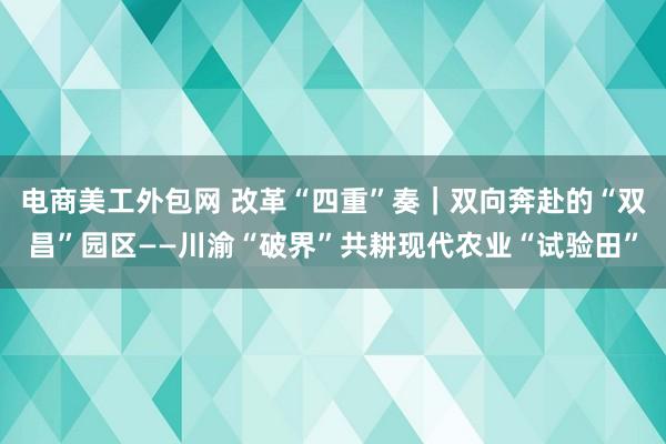 电商美工外包网 改革“四重”奏｜双向奔赴的“双昌”园区——川渝“破界”共耕现代农业“试验田”